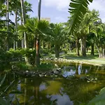 The Oasis By Don Carlos (adults Only) 5*