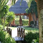 The Oasis By Don Carlos (adults Only)