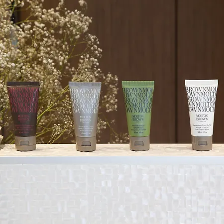 The Oasis By Don Carlos (adults Only)