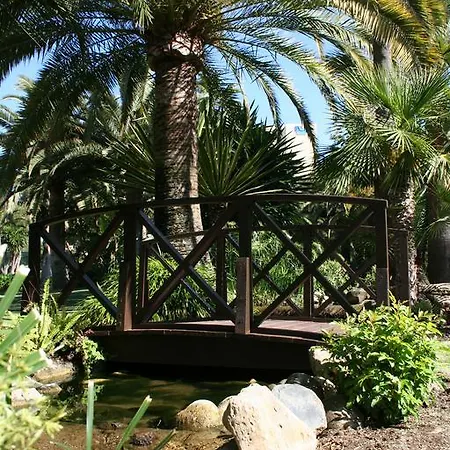 The Oasis By Don Carlos (adults Only) Hotel