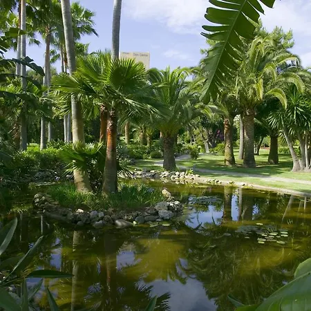 The Oasis By Don Carlos (adults Only) 5*