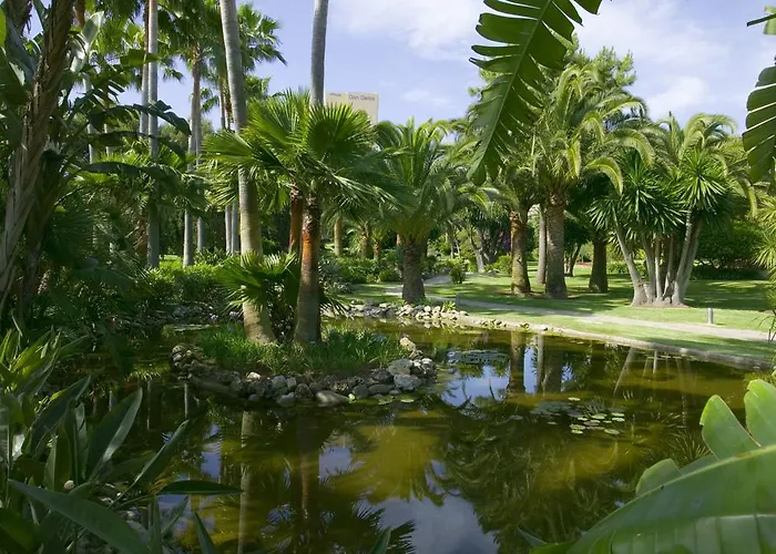 The Oasis By Don Carlos (adults Only) 5*