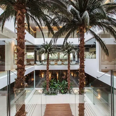 מלון The Oasis By Don Carlos (adults Only)