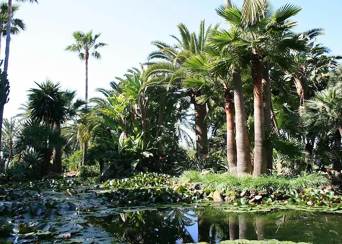 The Oasis By Don Carlos (adults Only) Hotel 5*