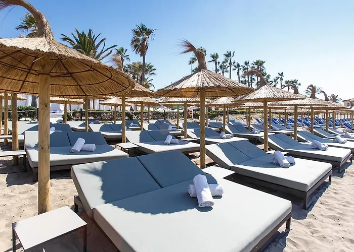 Hotel The Oasis By Don Carlos (adults Only) Marbella