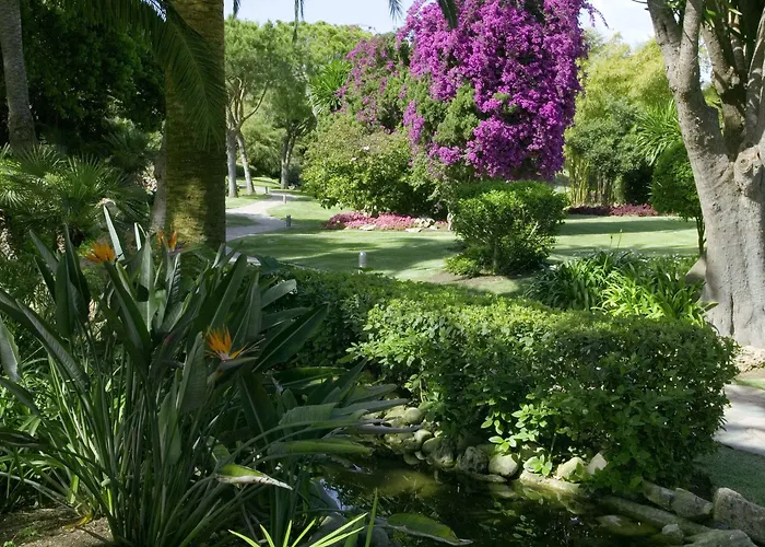 The Oasis By Don Carlos (adults Only) Hotel